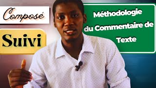 La méthodologie du commentaire de texte [upl. by Edmanda]