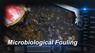 MICROBIOLOGICAL FOULING OF THE HEATING HEADER TANK [upl. by Jerusalem]