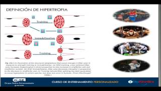 Fisiología Aplicada al Incremento de la Masa Muscular [upl. by Eyar]