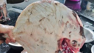 parindaba spade fish amazing video fishcutting [upl. by Suoiradal56]