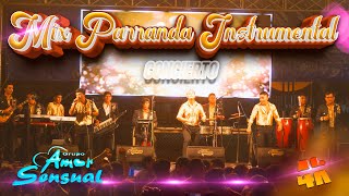 Amor Sensual  Parranda instrumental 4k  en vivo [upl. by Kraus785]