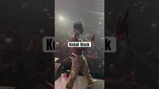 Kodak Black Live Concert [upl. by Ynotna]