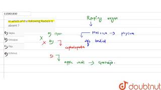 In which of the following Radula is absent [upl. by Bunow]