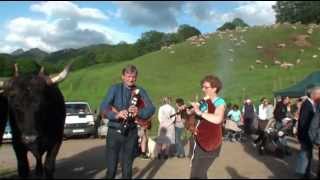 MON BEAU CANTAL 46 TRANSHUMANCE MOUTONS ST JULIEN DE JORDANNE 2013 [upl. by Atinnek]