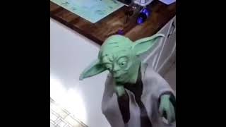 Yoda meme starwars yoda [upl. by Lovich153]