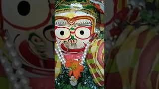 New jagannath odia bhajana youtubeshorts jayjagannath [upl. by Yecies]