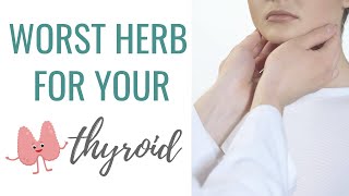 AVOID this HERB If You Have Hashimotos Thyroiditis  How to Heal Hashimotos Thryoiditis Naturally [upl. by Ecnav]