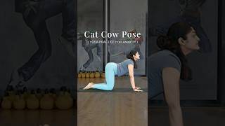 Cat Cow Pose  Yoga Practice For Anxiety  Yoga For Stress Relief  Relaxing Yoga shorts [upl. by Opal]