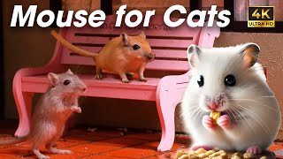 Endless Fun for Cats – Watch These Lively Mice in Action  Mouse For Cats To Watch [upl. by Jacoby]