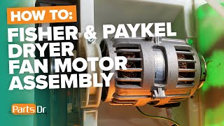 How to replace Fisher amp Paykel fan amp motor assembly part  395222P [upl. by Priscella]