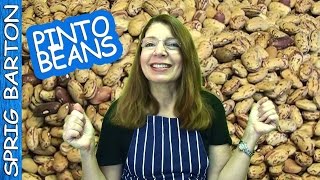 Cook THE BEST PINTO BEANS Recipe Texas Style Sprig Barton [upl. by Alston73]