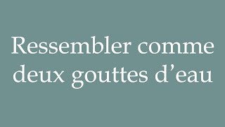 How to Pronounce Ressembler comme deux gouttes d’eau Correctly in French [upl. by Brantley631]