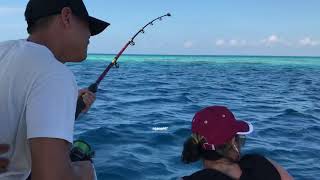 Fishing on Laccadive sea Maldives  Câu cá Ấn Độ Dương  الصيد في بحر لاكاديف جزر المالديف [upl. by Halla]