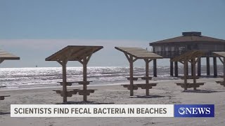 Beaches show medium levels of fecal bacteria poststorm [upl. by Acalia986]