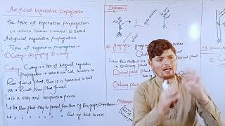 Artificial vegetative propagationcuttinggraftingpashto lecture [upl. by Luce]