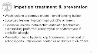 3 Impetigo Erysipelas Cellulitis [upl. by Adamson]