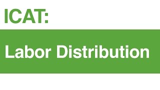 ICAT Labor Distribution [upl. by Naegem]