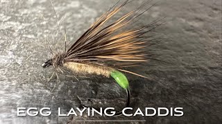 Egg Laying Caddis  Dry Fly  Fly Tying with John Murphy [upl. by Sibylle]