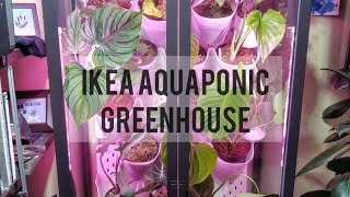 Ikea greenhouse aquaponic system [upl. by Nitniuq916]