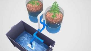 Super Simple Ebb amp Flow Hydroponics System [upl. by Acina]