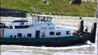 rheinschiff VOGEL GRYFF in basel [upl. by Ztnaj947]