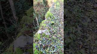 Suite randonnée labastide sur Besorgues  le volcan dAizac nature river video ardeche [upl. by Greenleaf]