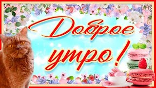 С Добрым утром ноября🌞 Доброе утро хорошего дня и прекрасного настроения [upl. by Michele59]