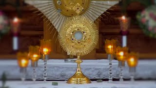 Perpetual Adoration Live  Eucharistic Adoration Live 247 [upl. by Bohman]