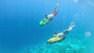 SeaBob at Tugboat Beach Curacao [upl. by Bushore132]