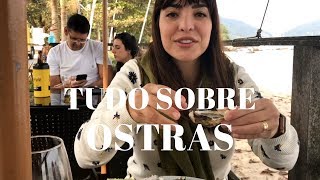 Como comer ostras [upl. by Saunders728]