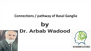 connections of basal ganglia  Neuroanatomy  Lecture 27 by Dr Arbab Wadood [upl. by Maibach]