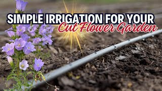 EASY Gardening Irrigation Setting Up A Drip System For Your Cut Flower Garden [upl. by Ylrehs]