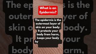 What is Epidermis Simple and easy definition of Epidermis  Simple Definition short definition [upl. by Noorah]