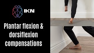 Plantar flexion amp Dorsiflexion Movement Compensations [upl. by Anividul525]