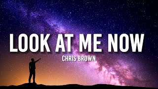 Chris Brown  Look at Me Now Lyrics ft Lil Wayne Busta Rhymes  quotIm fresher than a muhfkaquot [upl. by Akimet]