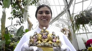 Daffodil Festival Queen Marin Sasaki of Orting HS beams with pride [upl. by Also]