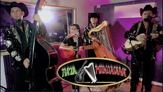 Conjunto De Arpa Grande Raza Michoacana Mi Guitara Lloro 2022 [upl. by Debbee]