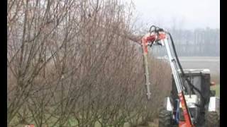 ORP Orchard pruner with disc Rinieri Potatrice a dischi [upl. by Petronella]