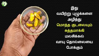 வயிற்றில் உள்ள புழுக்களை அழித்து மொத்த குடலையும் சுத்தமாக்கும் வீட்டு வைத்தியம் Intestinal Worms [upl. by Atalya]