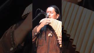 BLUE SPANISH EYES  INKA GOLD shorts inkagoldmusic panflute engelberthumperdinck [upl. by Dee]