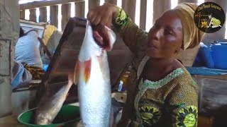 Aujourdui nous vous amenons à la découverte du port de pêche de Cotonou food fishing fish [upl. by Pedaias]