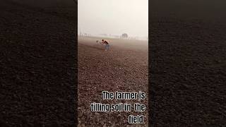 Farmer tilling soil in the field [upl. by Nitza895]