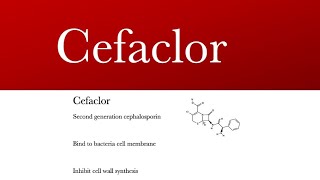 Cefaclor ceclor cephalosporins antibiotic  cefaclor antibiotic and cefaclor uses [upl. by Ennaegroeg624]