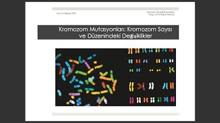 BÖLÜM 8 Kromozom Mutasyonları Kromozom Sayısı ve Düzenindeki Değişiklikler1 genel biyoloji [upl. by Alene]