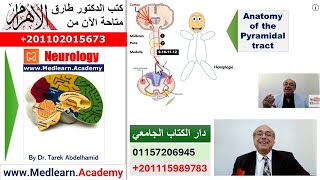 Localization of Neurological Lesions Part 1 [upl. by Julia847]