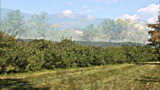 The Berkshires of Western Massachusetts in the summer [upl. by Phillips62]