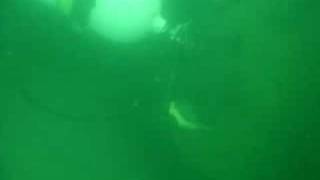 Diver explores the 1918 wreck of the dredge vessel Florida [upl. by Donahue]