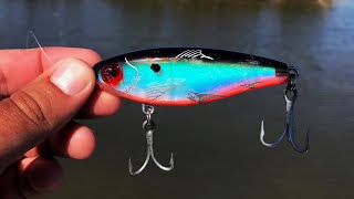 This Little Lure Catches My New PB [upl. by Pachton]