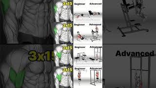 Arm Workouts for ALL Levels Beginner to Advanced Training [upl. by Ragen]