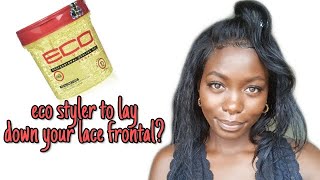 HOW TO LAY DOWN YOUR LACE FRONTAL WIG USING ECO STYLER GEL ONLY [upl. by Sunev497]